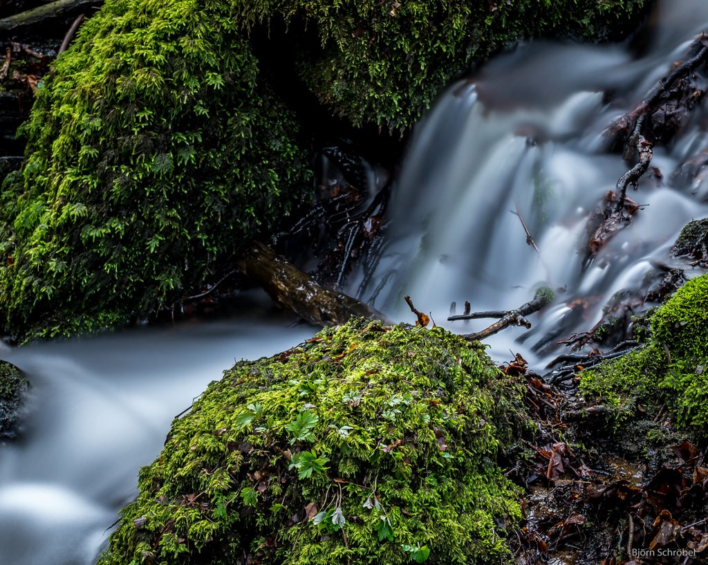 Der Fischbach FischbachtalOdw.de