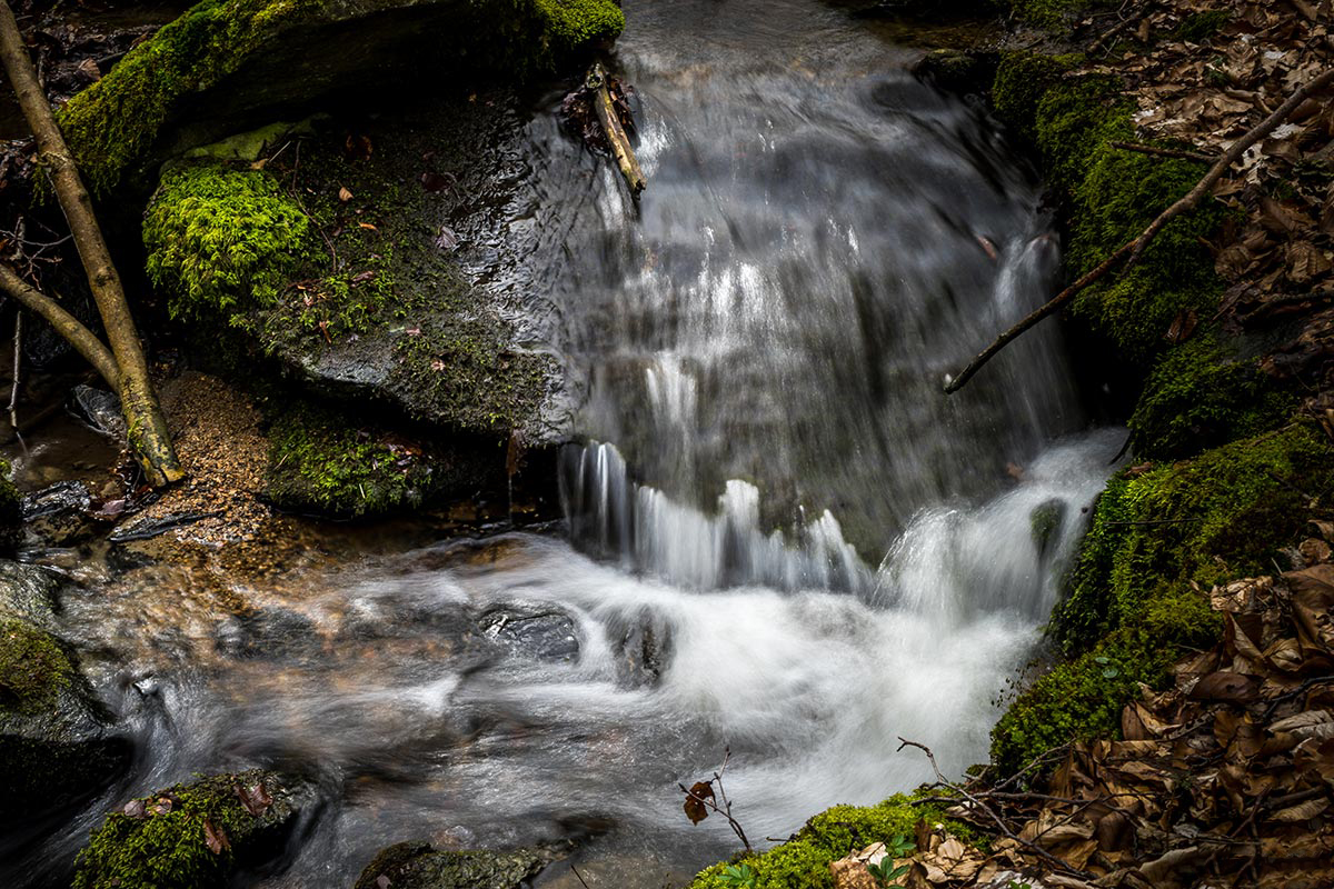 Der Fischbach FischbachtalOdw.de